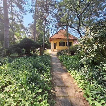 Vecsey Holiday home Zamardi