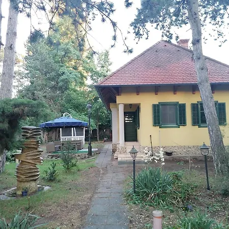 Vécsey * Zamárdi
